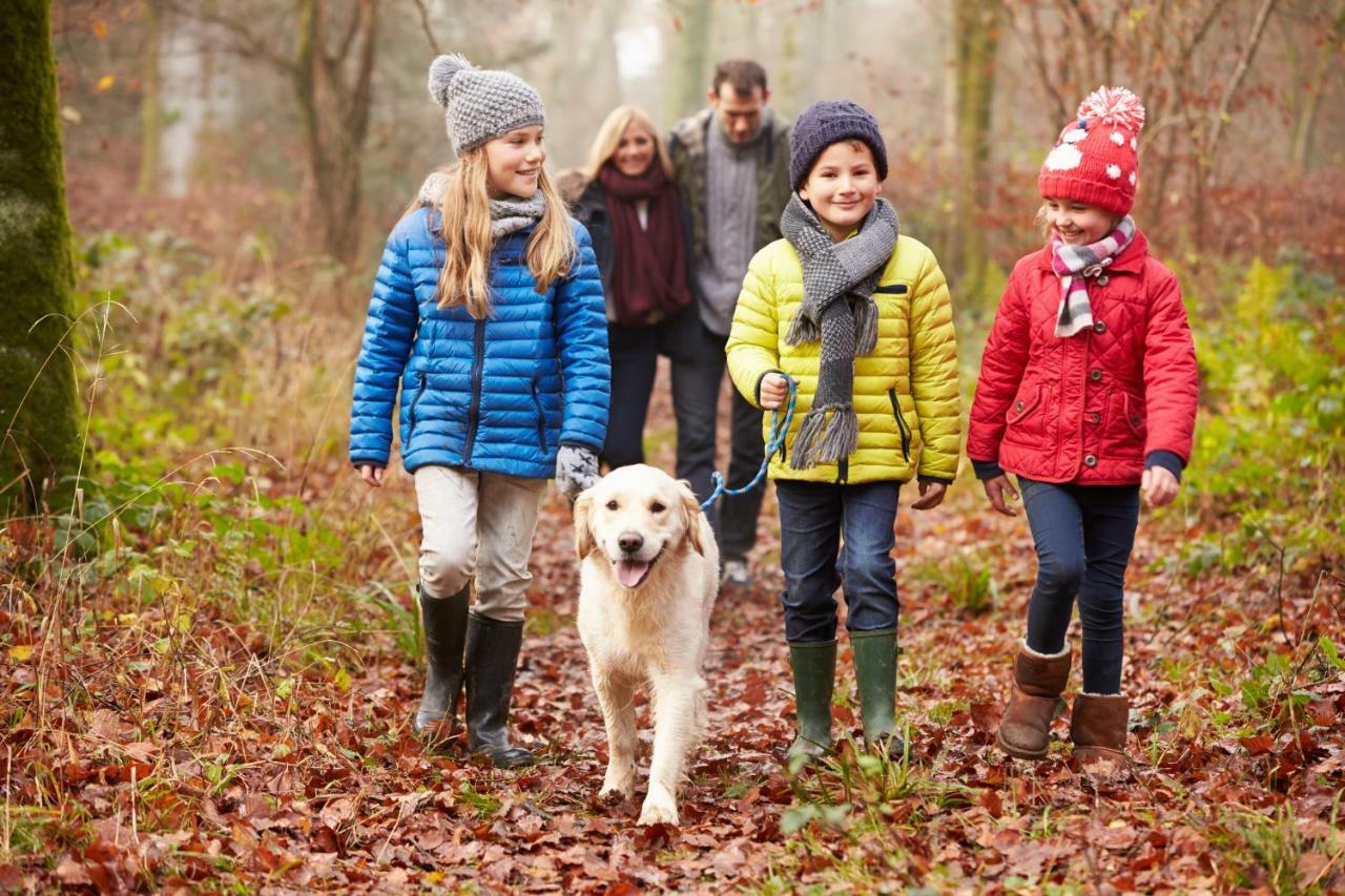 Macdonald Woodland Lodges At Macdonald Aviemore Resort 외부 사진